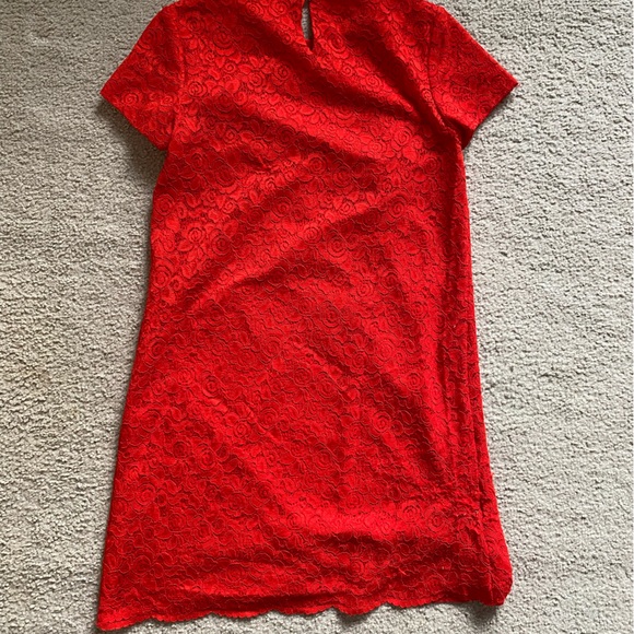 Cynthia Steffe Red-Orange Lace Sheath Dresz - Picture 2 of 9